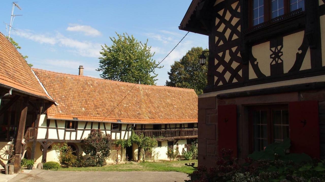 Le Gite Des Ecureuils Schalkendorf エクステリア 写真